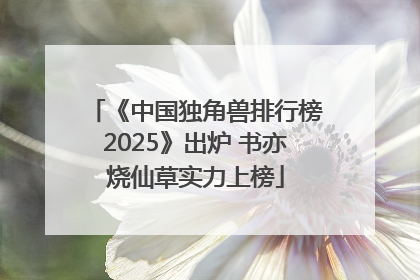 《中国独角兽排行榜2025》出炉 书亦烧仙草实力上榜