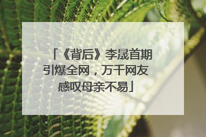 《背后》李晟首期引爆全网，万千网友感叹母亲不易