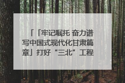 「牢记嘱托 奋力谱写中国式现代化甘肃篇章」打好“三北”工程攻坚战 筑牢国家西部生态安全屏障