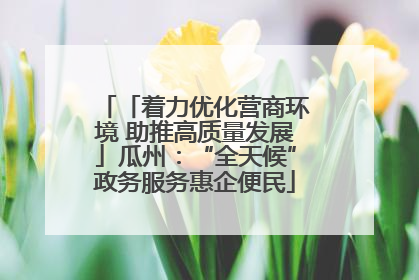 「着力优化营商环境 助推高质量发展」瓜州：“全天候”政务服务惠企便民