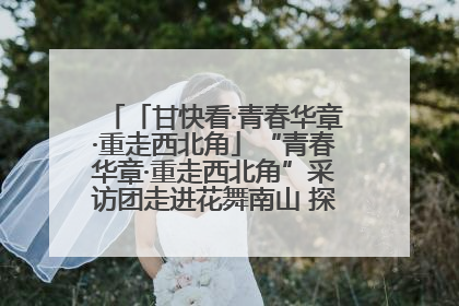 「甘快看·青春华章·重走西北角」“青春华章·重走西北角”采访团走进花舞南山 探寻天水乡村振兴之路