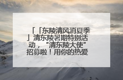 「东陵清风消夏季」清东陵暑期特别活动，“清东陵大使”招募啦！用你的热爱守护世界遗产！