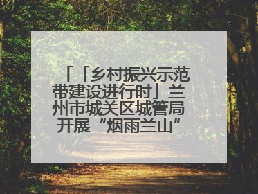 「乡村振兴示范带建设进行时」兰州市城关区城管局开展“烟雨兰山”区域综合整治专项行动