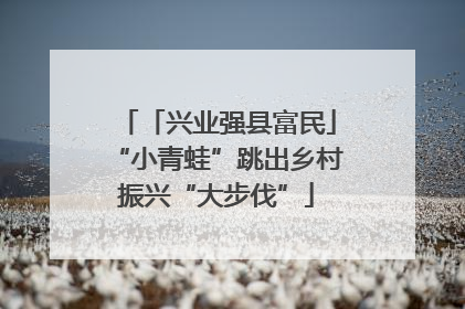 「兴业强县富民」“小青蛙”跳出乡村振兴“大步伐”