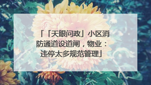 「天眼问政」小区消防通道设道闸，物业：违停太多规范管理