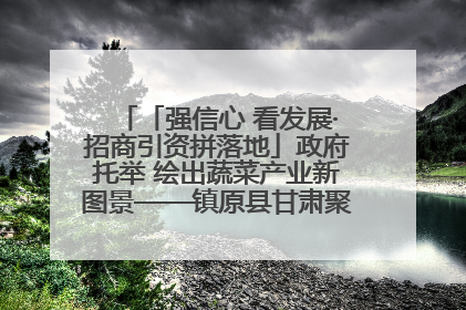 「强信心 看发展·招商引资拼落地」政府托举 绘出蔬菜产业新图景——镇原县甘肃聚广利现代设施蔬菜种植基地见闻