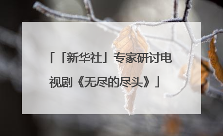 「新华社」专家研讨电视剧《无尽的尽头》