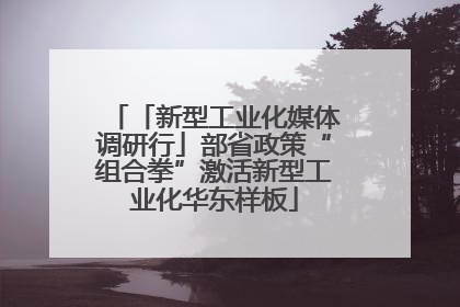 「新型工业化媒体调研行」部省政策“组合拳”激活新型工业化华东样板
