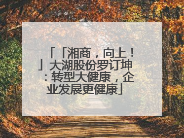 「湘商，向上！」大湖股份罗订坤：转型大健康，企业发展更健康