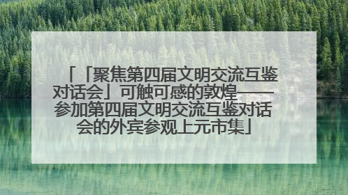 「聚焦第四届文明交流互鉴对话会」可触可感的敦煌——参加第四届文明交流互鉴对话会的外宾参观上元市集