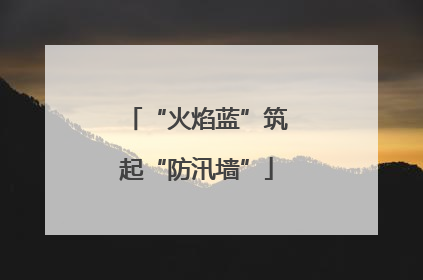 “火焰蓝”筑起“防汛墙”