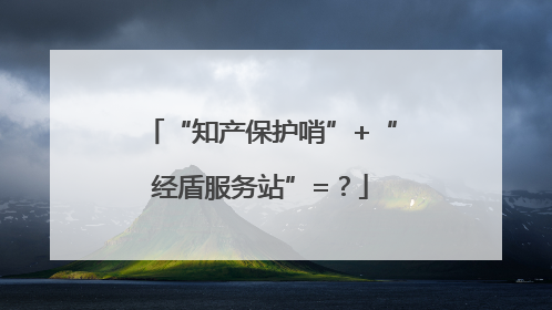 “知产保护哨”+“经盾服务站”=？