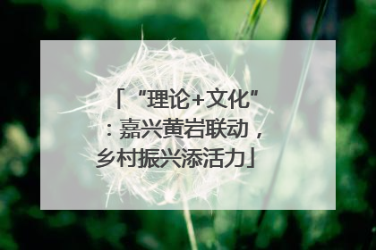 “理论+文化”：嘉兴黄岩联动，乡村振兴添活力