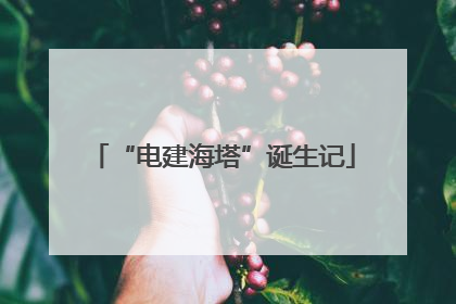 “电建海塔”诞生记