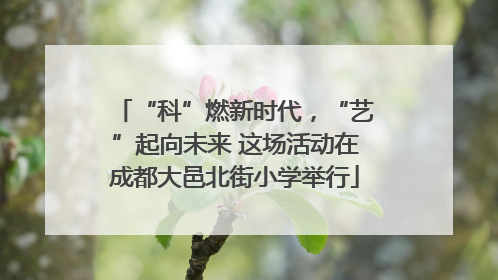 “科”燃新时代，“艺”起向未来 这场活动在成都大邑北街小学举行