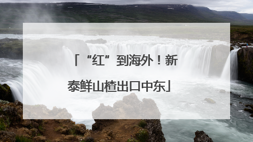 “红”到海外！新泰鲜山楂出口中东