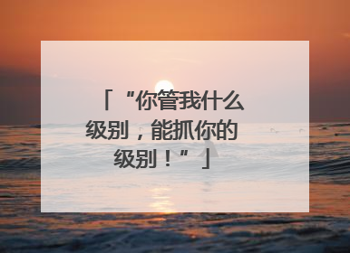 “你管我什么级别，能抓你的级别！”