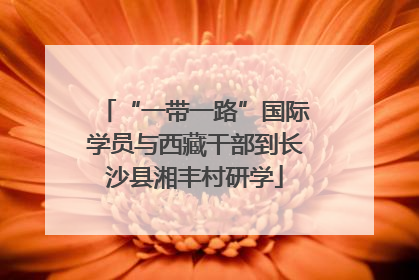 “一带一路”国际学员与西藏干部到长沙县湘丰村研学