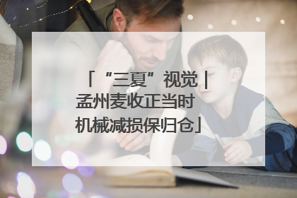 “三夏”视觉｜孟州麦收正当时 机械减损保归仓