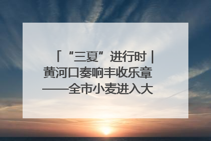 “三夏”进行时｜黄河口奏响丰收乐章——全市小麦进入大面积收获高峰期