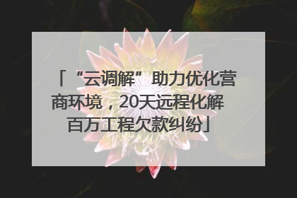 “云调解”助力优化营商环境，20天远程化解百万工程欠款纠纷
