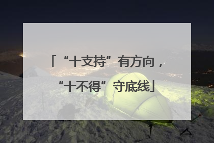 “十支持”有方向，“十不得”守底线