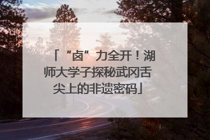 “卤”力全开！湖师大学子探秘武冈舌尖上的非遗密码