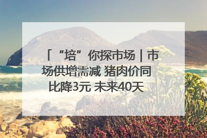 “培”你探市场｜市场供增需减 猪肉价同比降3元 未来40天便宜猪肉敞开吃