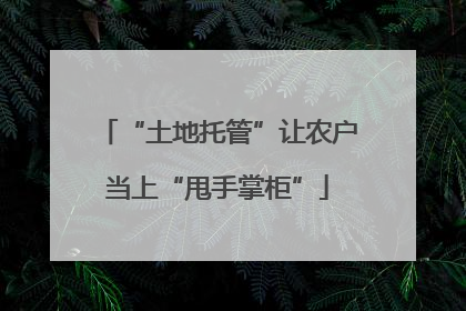“土地托管”让农户当上“甩手掌柜”