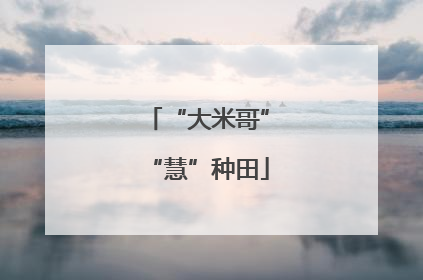 “大米哥”“慧”种田