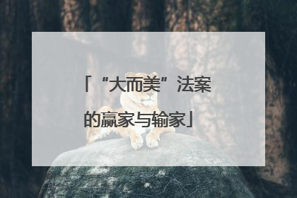 “大而美”法案的赢家与输家