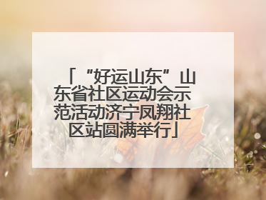“好运山东”山东省社区运动会示范活动济宁凤翔社区站圆满举行