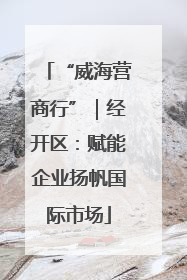“威海营商行”｜经开区：赋能企业扬帆国际市场
