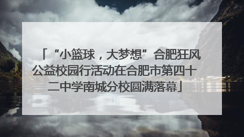 “小篮球，大梦想”合肥狂风公益校园行活动在合肥市第四十二中学南城分校圆满落幕