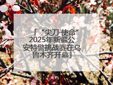 “尖刀·使命”2025年新疆公安特警挑战赛在乌鲁木齐开幕