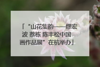 “山花集韵——缪宏波 蔡栋 陈丰松中国画作品展”在杭举办