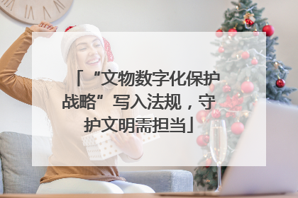 “文物数字化保护战略”写入法规，守护文明需担当