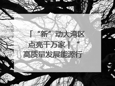 “新”动大湾区 点亮千万家｜“高质量发展能源行”系列报道③