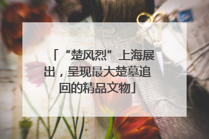 “楚风烈”上海展出，呈现最大楚墓追回的精品文物