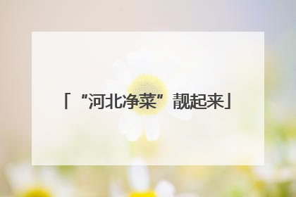 “河北净菜”靓起来