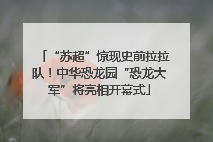 “苏超”惊现史前拉拉队！中华恐龙园“恐龙大军”将亮相开幕式
