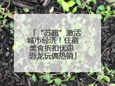 “苏超”激活城市经济！住宿美食折扣优惠 恐龙玩偶热销