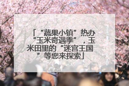 “蔬果小镇”热办“玉米奇遇季”，玉米田里的“迷宫王国”等您来探索