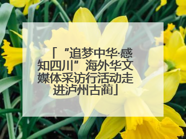 “追梦中华·感知四川”海外华文媒体采访行活动走进泸州古蔺