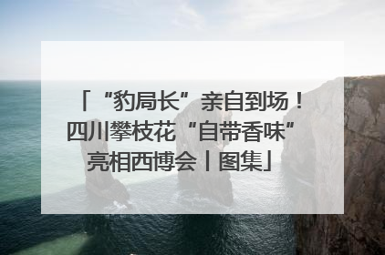 “豹局长”亲自到场！四川攀枝花“自带香味”亮相西博会丨图集