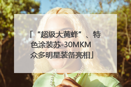 “超级大黄蜂”、特色涂装苏-30MKM 众多明星装备亮相