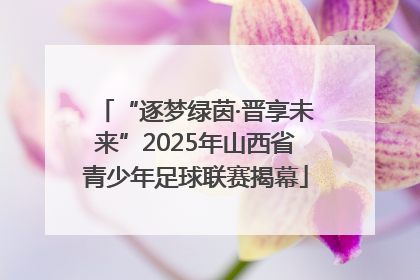 “逐梦绿茵·晋享未来”2025年山西省青少年足球联赛揭幕