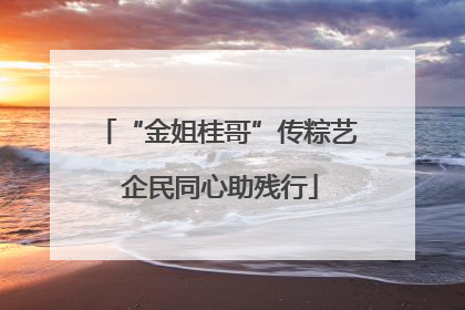 “金姐桂哥”传粽艺 企民同心助残行