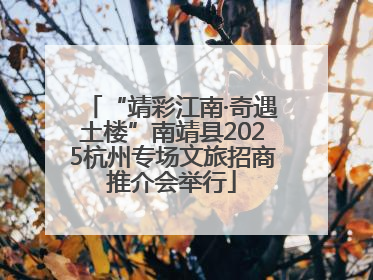 “靖彩江南·奇遇土楼”南靖县2025杭州专场文旅招商推介会举行