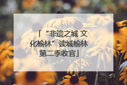 “非遗之城 文化榆林”读城榆林第二季收官